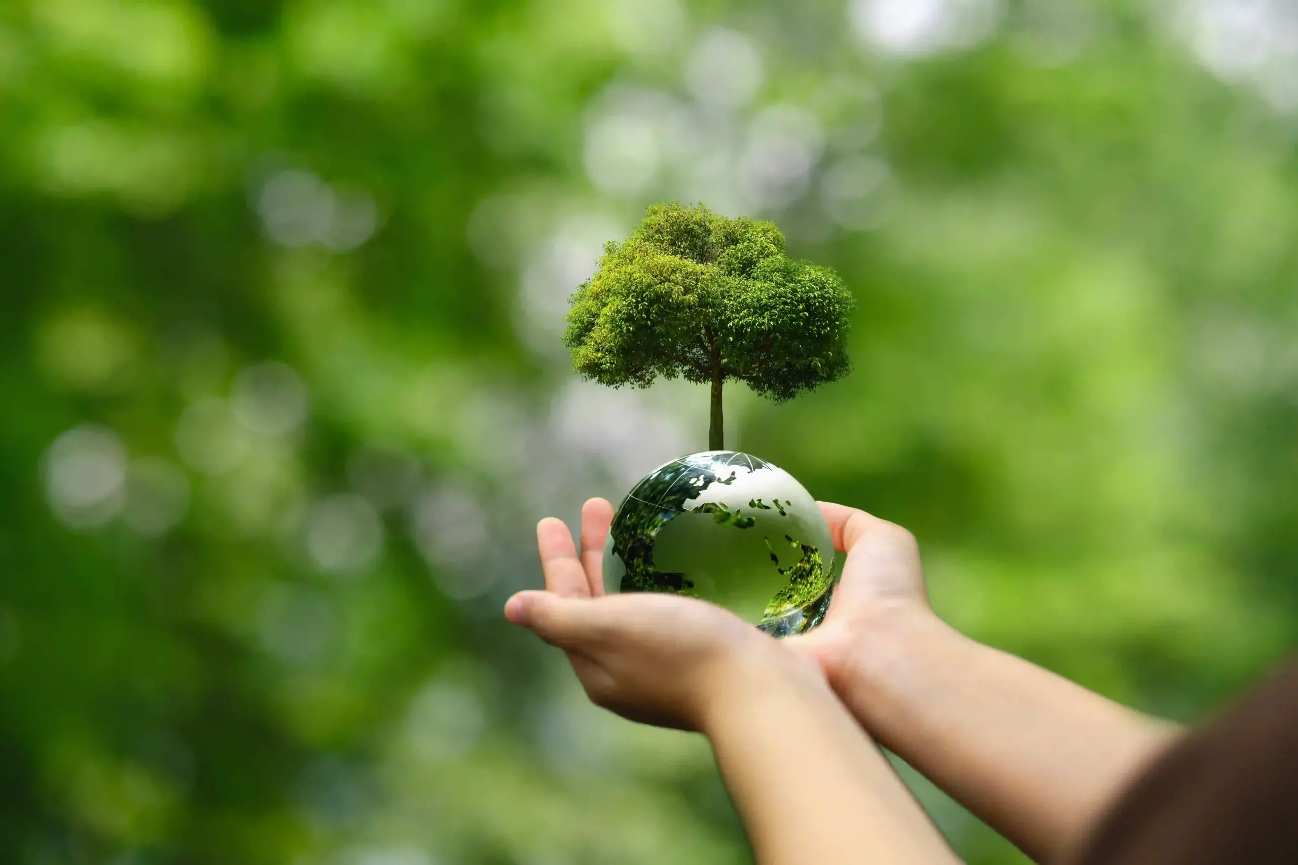 Sustainability Policy