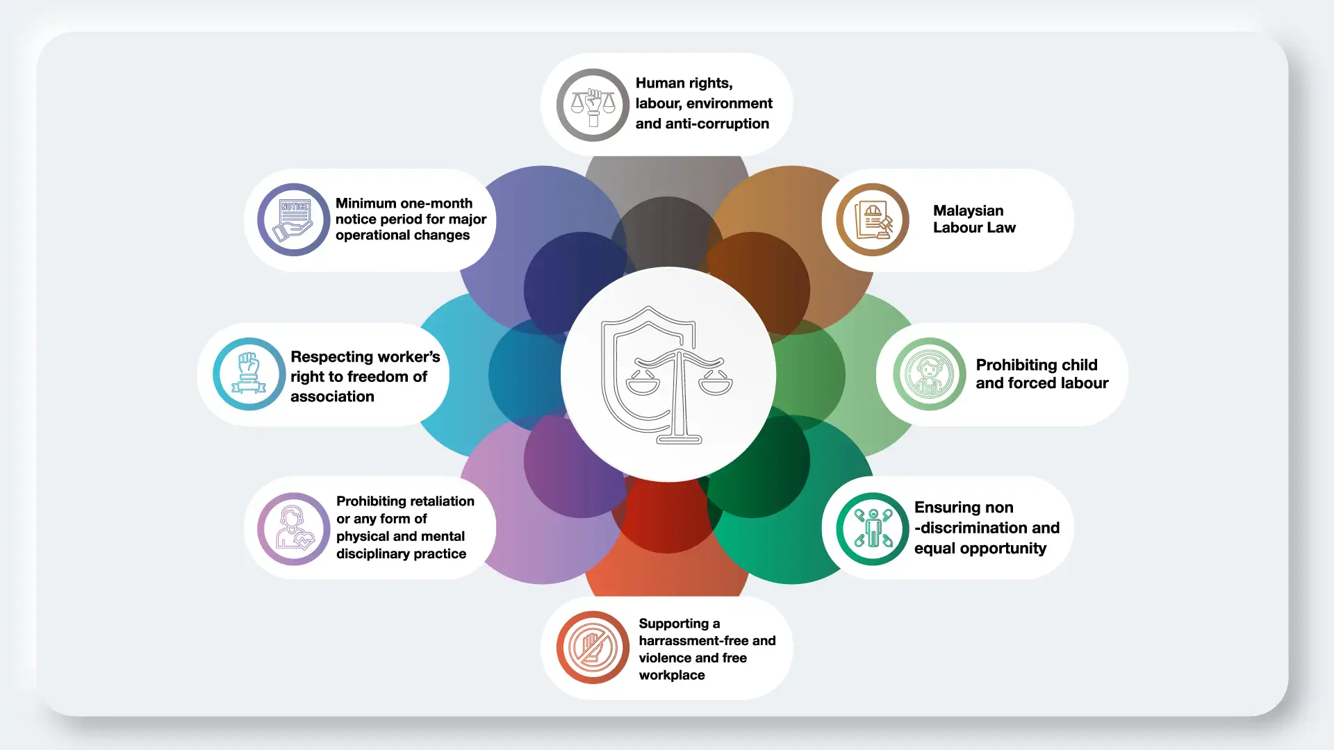 human rights principles 2025
